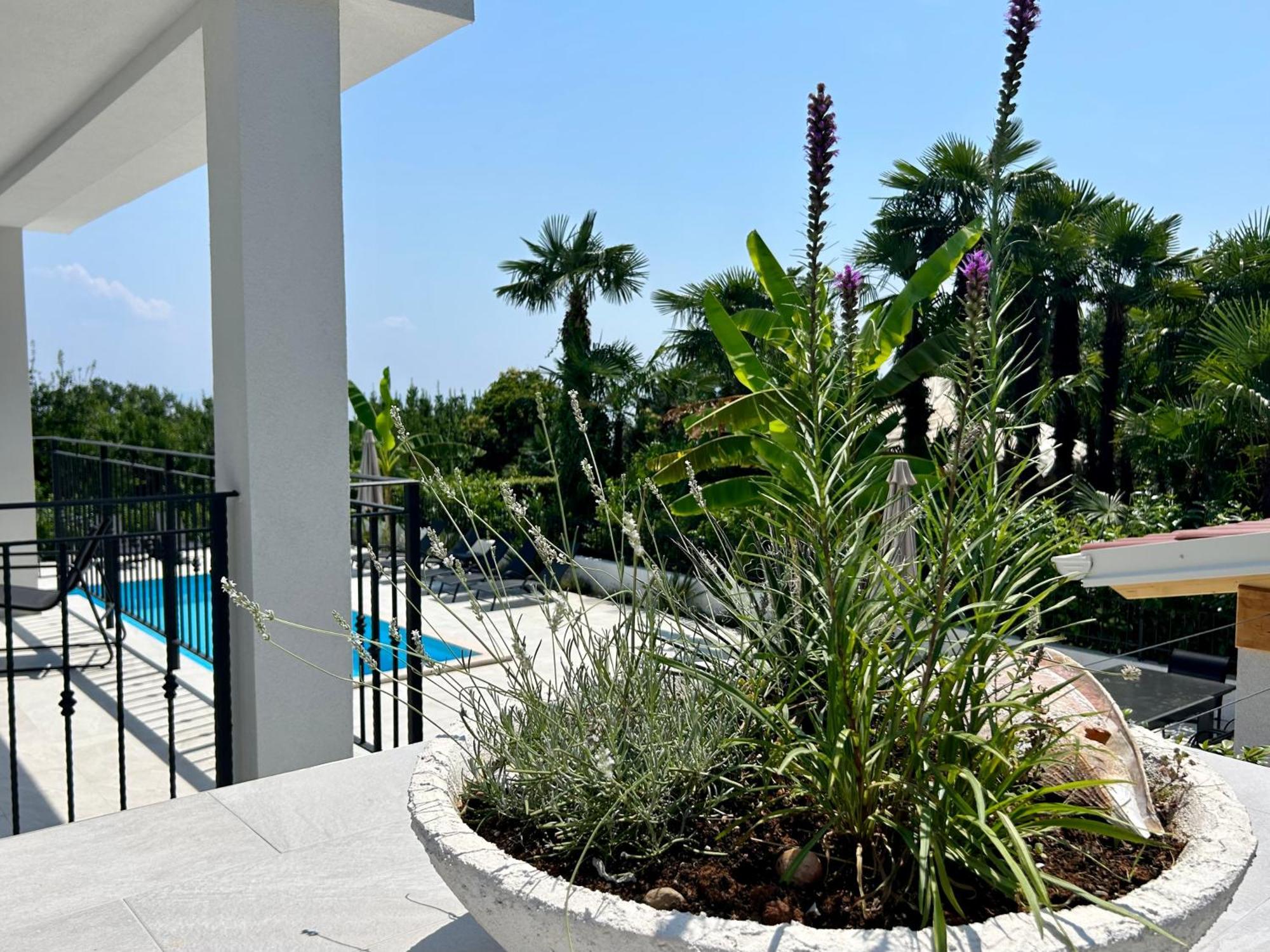 Villa Palma Lovran Exteriör bild
